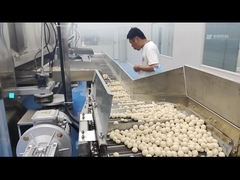 Ηλεκτρικό ντυμένο ντυμένο φούρνος φυστίκι Roastr 100KG/h ταλάντευσης φυστικιών