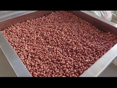 Ελεγχόμενο από PLC συνεχείς καρποί Φούρνο συνεχείς καρποί ψήστρα Σκούπιση/ψήστρα