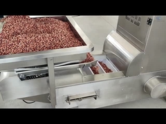 Ανελκυστήρας μεταφορέας τύπου Z