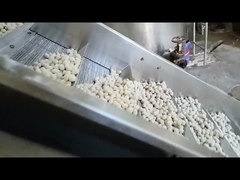 Μηχανή συνεχούς τηγανίτησης