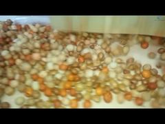 Γραμμή Παραγωγής Επίστρωσης και Ψησίματος