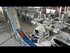 Γραμμή Παραγωγής Φυστικιών Τηγανητών με Επικάλυψη