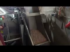 Φρυγανίστρια 