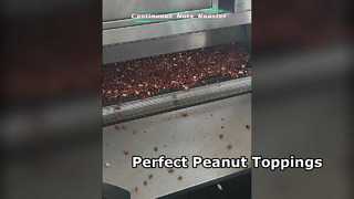 Φρυγανιστής